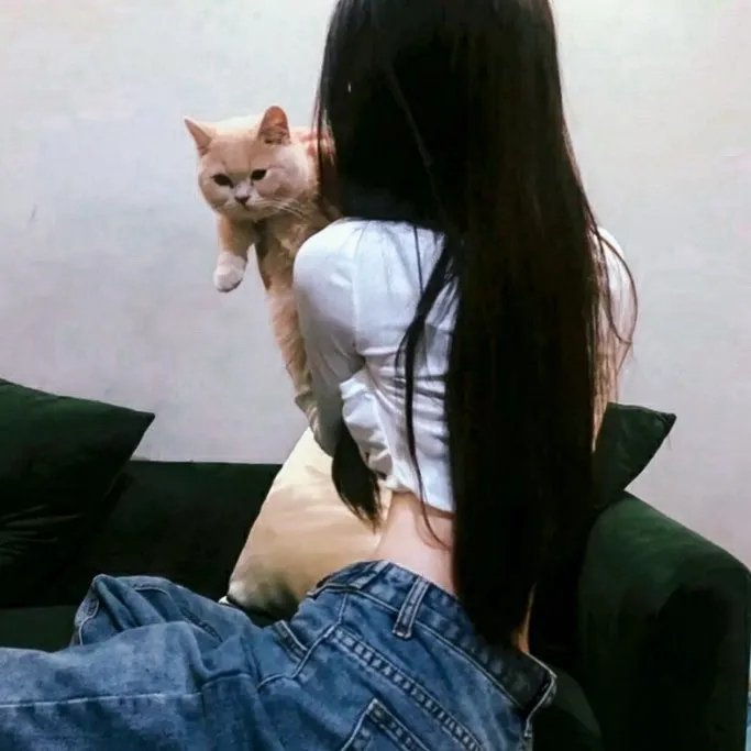 小车故障